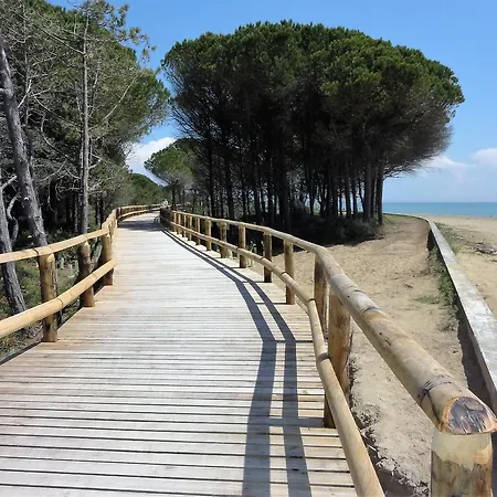 Adriatico - *